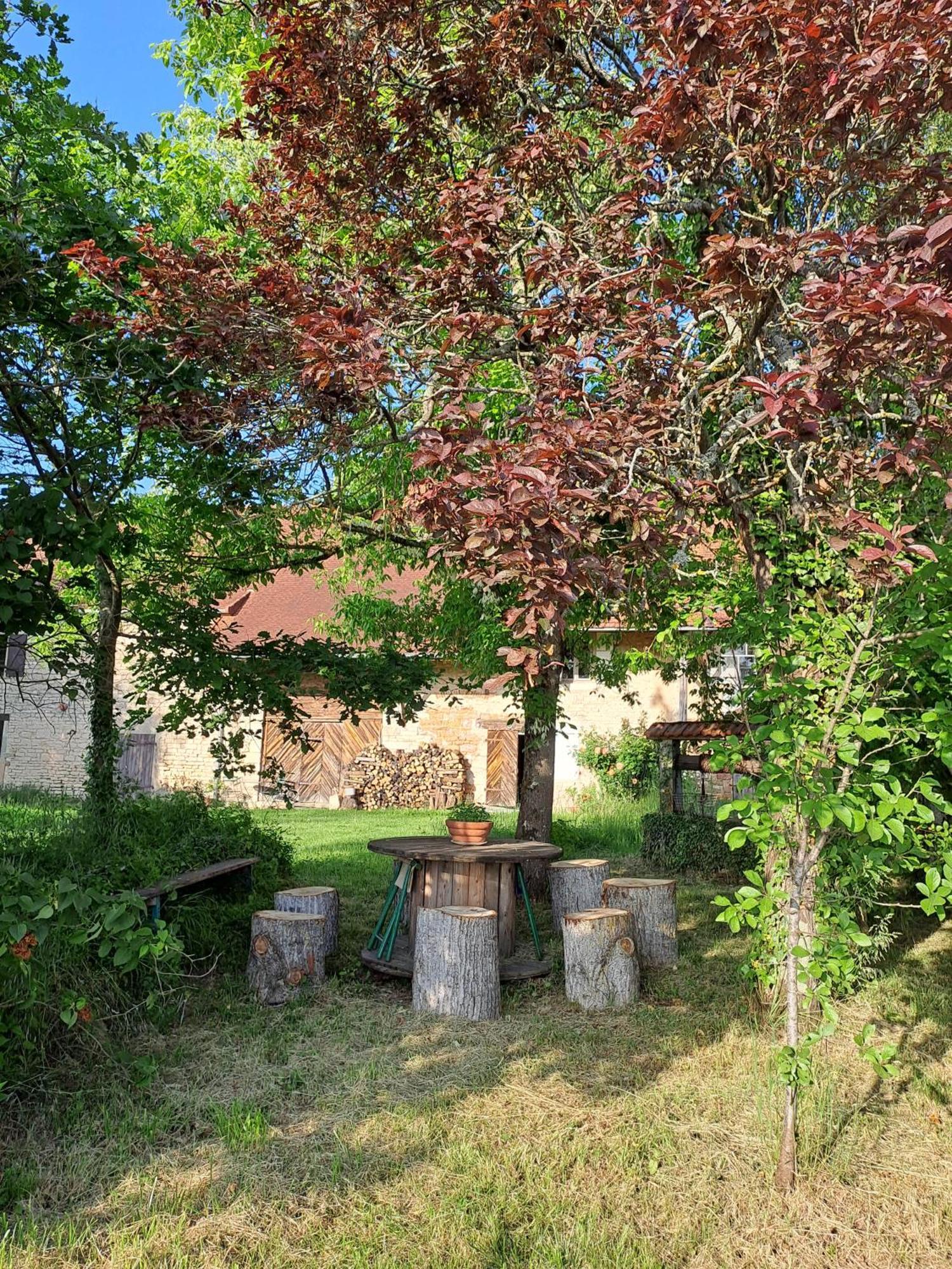 La Chavoche Hébergement de vacances La Chapelle-de-Bragny